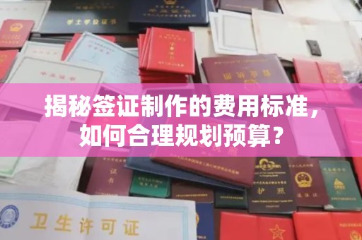 临县揭秘签证制作的费用标准，如何合理规划预算？