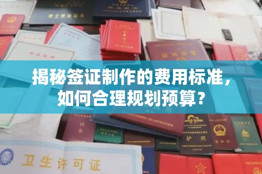 临县揭秘签证制作的费用标准，如何合理规划预算？