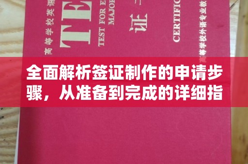 临县全面解析签证制作的申请步骤，从准备到完成的详细指南