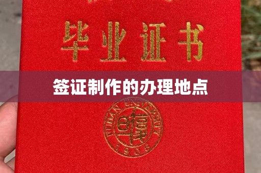 临县签证制作的办理地点