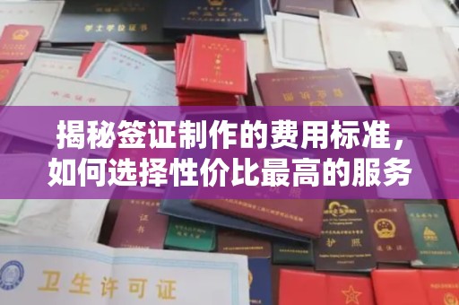 临县揭秘签证制作的费用标准，如何选择性价比最高的服务？