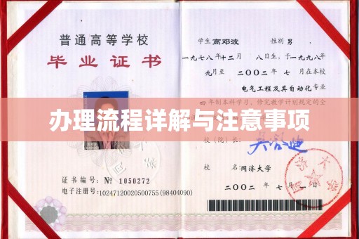 临县办理流程详解与注意事项